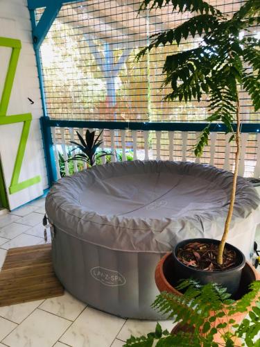 Rêves de mer - Location saisonnière - Deshaies