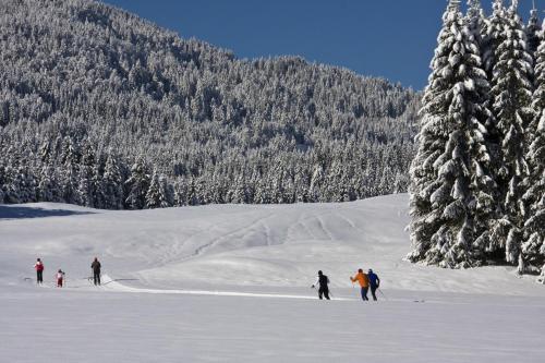 Ferienhof Obergasser und Bergblick - image 3