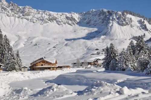 Chalet Hotel Vaccapark - Mieussy