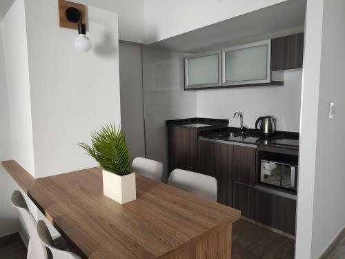 356 Apartments - in Mendoza