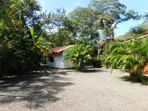 Villasjungle 1, Sámara