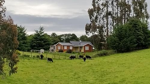 Cabañas Maullin, Las Chilcas