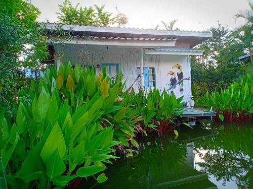Bueng Pai Farm บึงปายฟาร์ม in Mae Hi