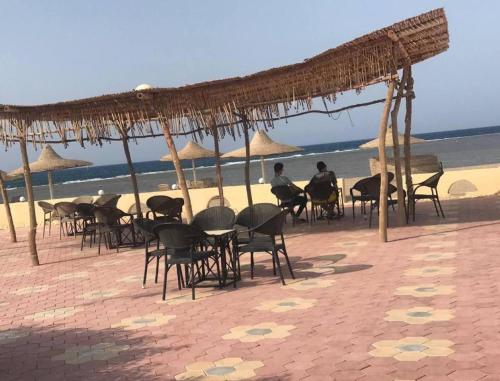 plaża, Dolphin Continental Hotel in El Quseir wybrzeże
