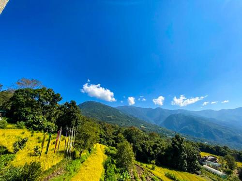 Aari INN Homestay in Aritar