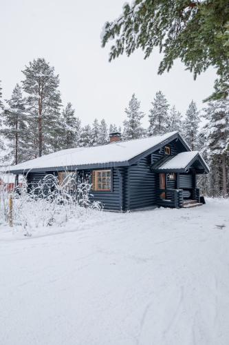 Holiday in Lapland - Levisalmi A