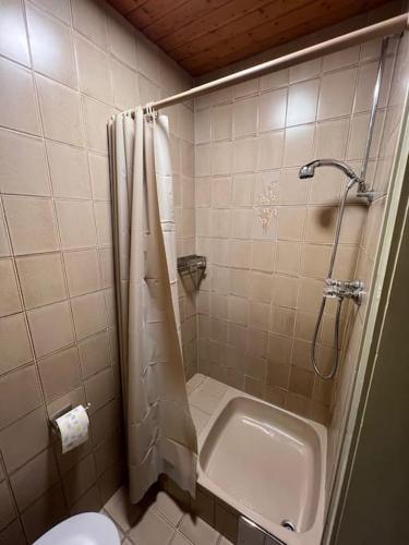 淋浴間, Einzimmerwohnung im Grünen/Innsbruck/2 PAX (Einzimmerwohnung im Grunen/Innsbruck/2 PAX) in 因斯布魯克機場