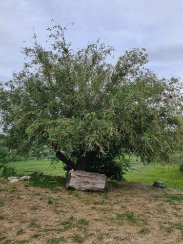 Vinea del Selvatico cascina agricola