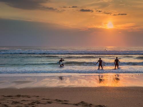 Maison Seignosse 2 pièces 4 personnes - FR-1-239-421 - main image