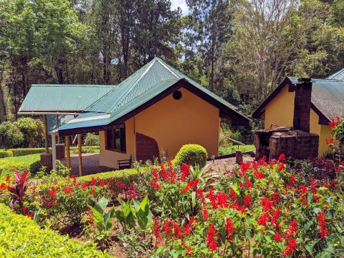 Garden, Lawns Hotel in Lushoto