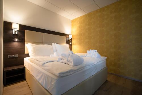 Hotel Slunný Dvůr - image 12