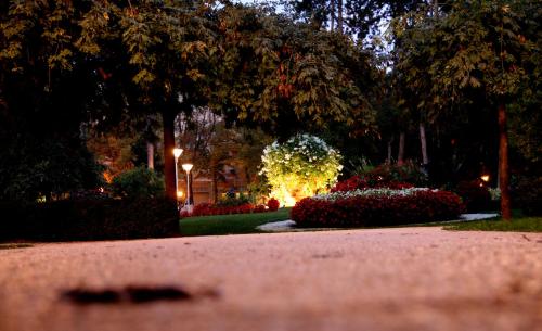 Hotel Principe - image 12