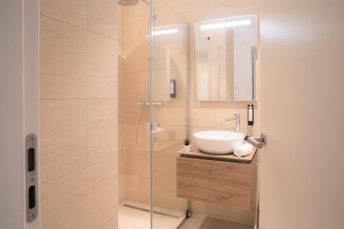 One-Bedroom Apartment image 4
