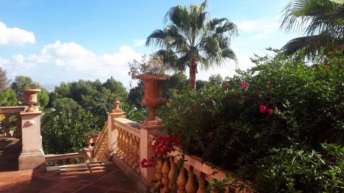Casa de las Vistas - image 11