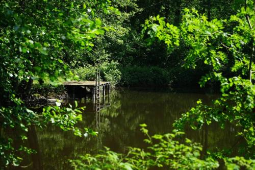 Privéparadijs,Houtvuur,Ongerepte natuur, Ardennen.