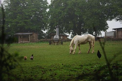 Privéparadijs,Houtvuur,Ongerepte natuur, Ardennen.