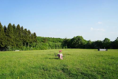 Privéparadijs,Houtvuur,Ongerepte natuur, Ardennen.