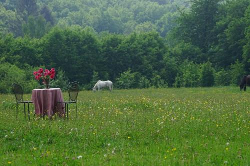 Privéparadijs,Houtvuur,Ongerepte natuur, Ardennen.