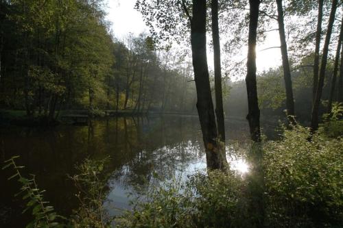 Privéparadijs,Houtvuur,Ongerepte natuur, Ardennen.