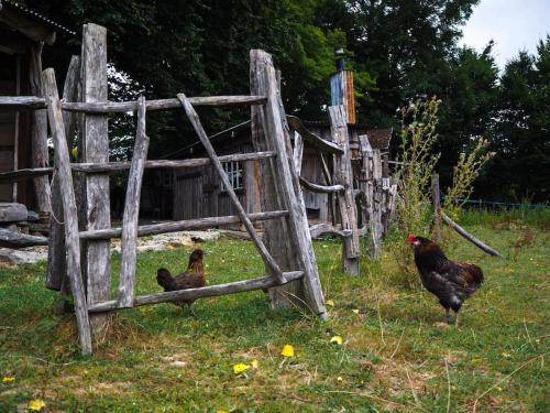 Privéparadijs,Houtvuur,Ongerepte natuur, Ardennen.