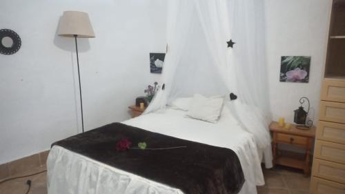 CUEVA EL TARAHAL privada y piscina compartida