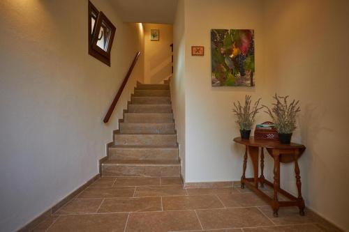 Hotel-Hostal Sport