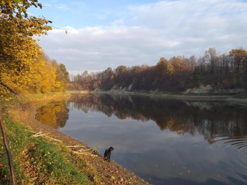 Domki całoroczne Bieszczady Panasiewiczówka