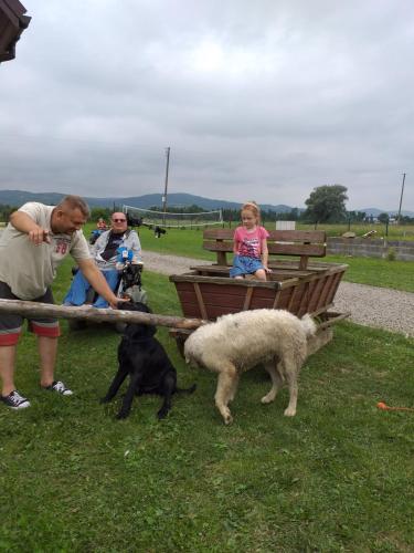 Domki całoroczne Bieszczady Panasiewiczówka