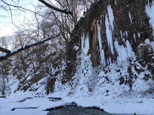 Domki całoroczne Bieszczady Panasiewiczówka