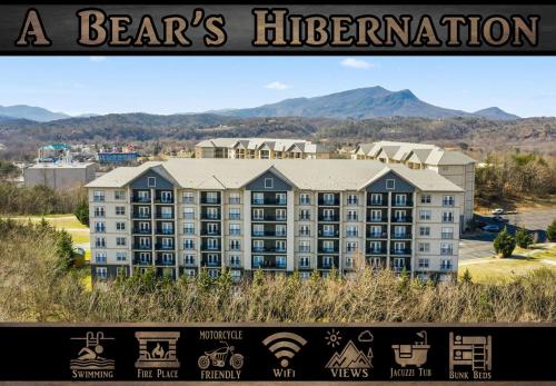 A Bears Hibernation in Pigeon Forge, USA