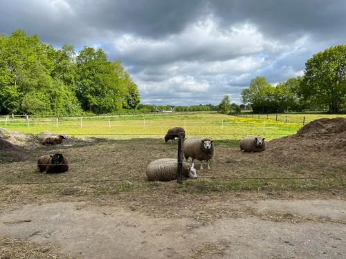 Familiehuis voor 13 personen