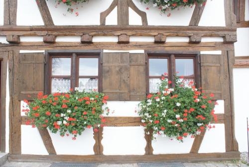 Exterior view, Ferienwohnung Hiemer in Bad Gronenbach