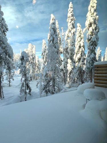 Martebäcken 21, Sälen (zdjęcie 4)