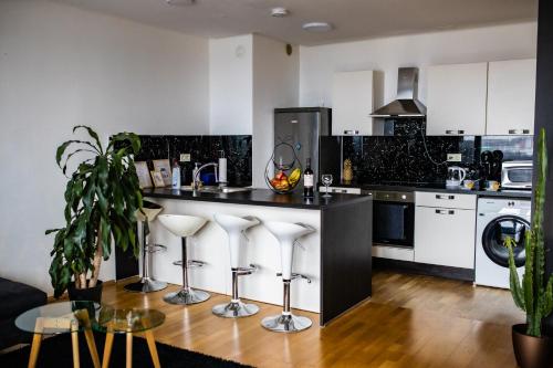 HERMES APARTMENT & 2 free garage secured parkings, Lublaň (fotografie 10)
