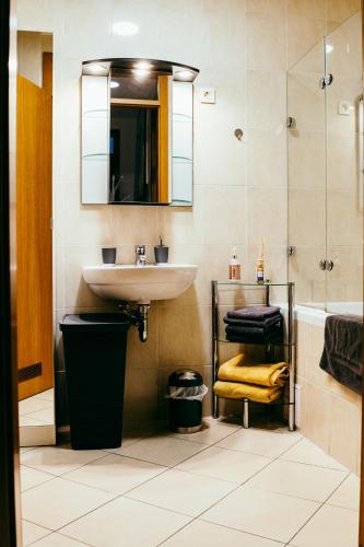 HERMES APARTMENT & 2 free garage secured parkings, Lublaň (fotografie 9)