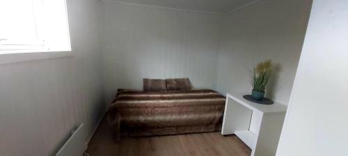 Aurora rooms in shared apartment nr2 We are doing privet Northen lights trips, reindeer trip and Fjord sommaroy trip 1