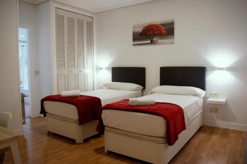 Camera twin, bagno privato