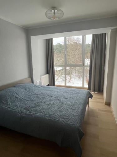 Roja Lux Apartment in Roja
