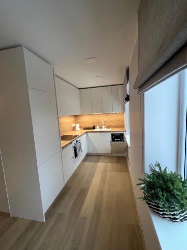 Roja Lux Apartment in Roja