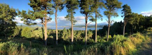 Woodside Cabin in Leachkin