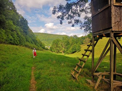 สภาพแวดล้อมโดยรอบ, Ferienwohnung im Haus Lotus mit großem Balkon und Garten in บาด อัวราค