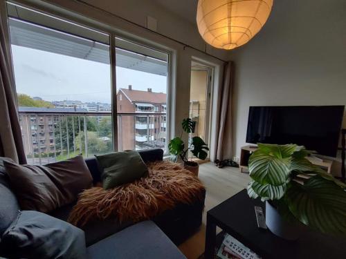 Spacious and cozy study apartment with balcony - Apartment - Oslo