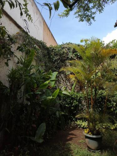 La Casa de la Abuela, Antigua Guatemala (foto 8)