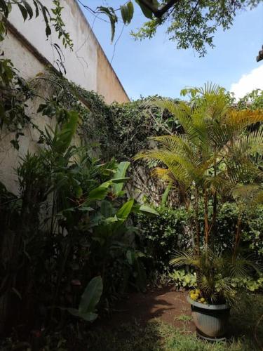 La Casa de la Abuela, Antigua Guatemala (foto 9)