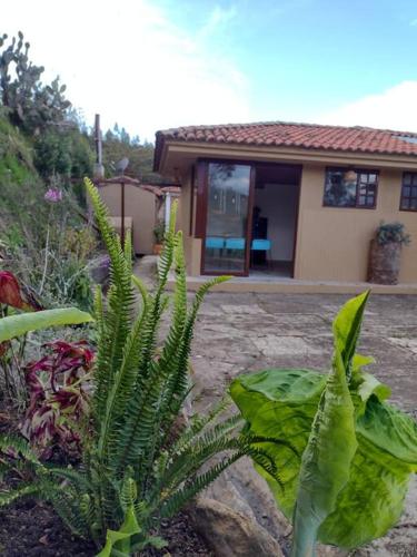 Fogata Naturaleza y Descanso, Casa de Campo Eucaliptos