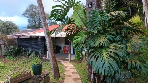 . Hostal El Calvario del Bosque, Aldea Las Cruces, Cobán