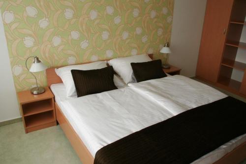 Canada Hotel Budapest, Budapest (photo 4)