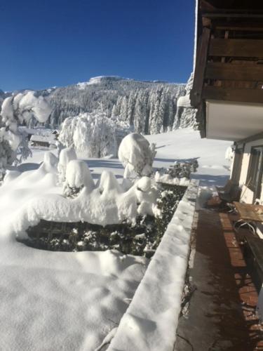 Gruppenferienwohnung am Auweg Kleinwalsertal/Hirschegg