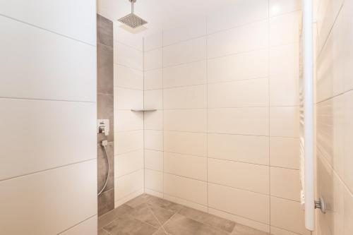One-Bedroom Apartment image 8