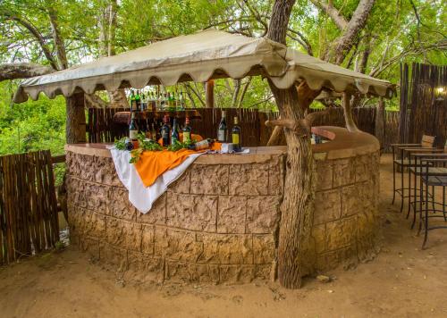 Madikwe River Lodge by Dream Resorts